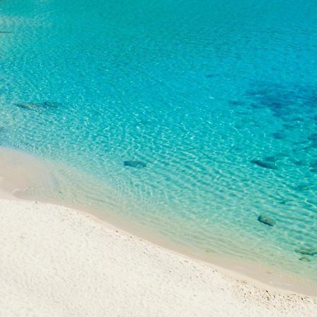 Villasoledad Appartamenti Per Vacanze Capoliveri  Εξωτερικό φωτογραφία