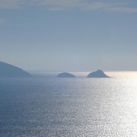 Villasoledad Appartamenti Per Vacanze Capoliveri  Εξωτερικό φωτογραφία