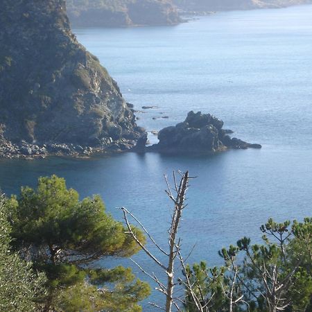 Villasoledad Appartamenti Per Vacanze Capoliveri  Εξωτερικό φωτογραφία
