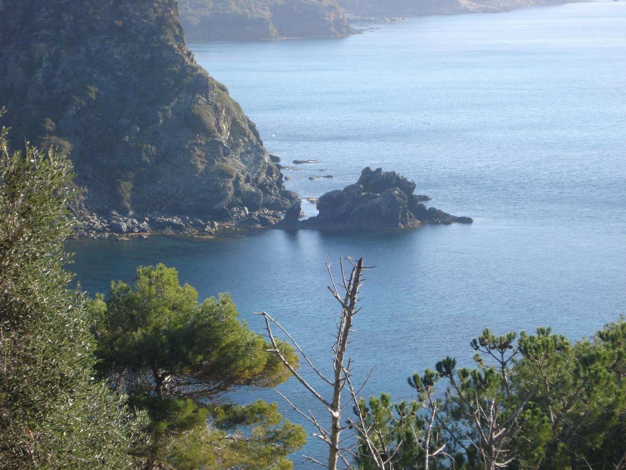 Villasoledad Appartamenti Per Vacanze Capoliveri  Εξωτερικό φωτογραφία